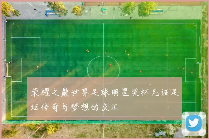 荣耀之巅世界足球明星奖杯见证足坛传奇与梦想的交汇