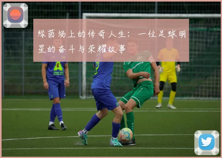 绿茵场上的传奇人生：一位足球明星的奋斗与荣耀故事