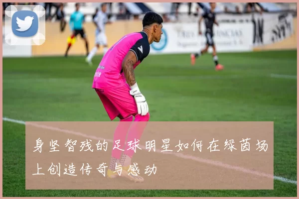 身坚智残的足球明星如何在绿茵场上创造传奇与感动