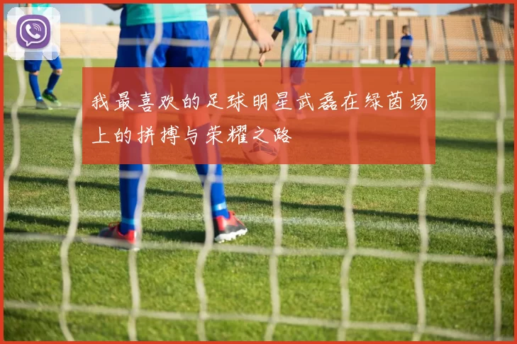 我最喜欢的足球明星武磊在绿茵场上的拼搏与荣耀之路