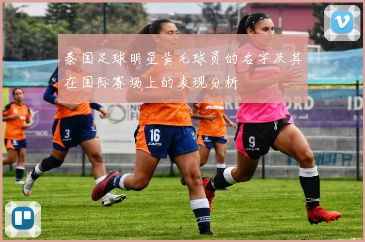 泰国足球明星黄毛球员的名字及其在国际赛场上的表现分析