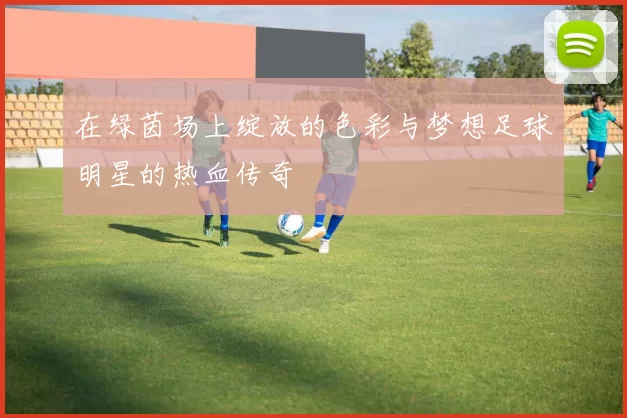 在绿茵场上绽放的色彩与梦想足球明星的热血传奇
