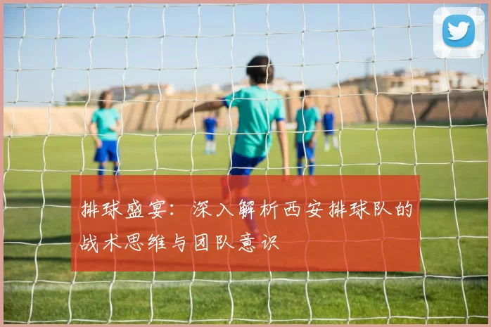 排球盛宴：深入解析西安排球队的战术思维与团队意识