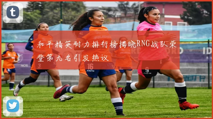 和平精英耐力排行榜揭晓RNG战队荣登第九名引发热议