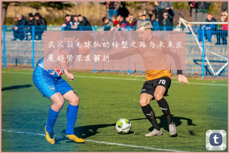 武汉羽毛球队的转型之路与未来发展趋势深度解析