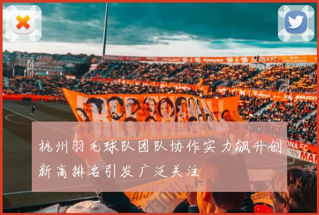 杭州羽毛球队团队协作实力飙升创新高排名引发广泛关注