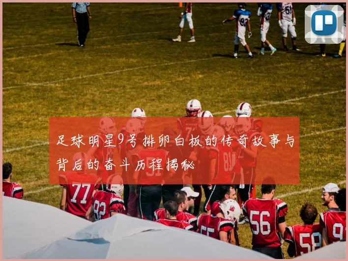 足球明星9号排卵白板的传奇故事与背后的奋斗历程揭秘