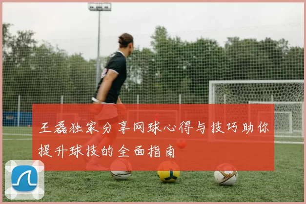 王磊独家分享网球心得与技巧助你提升球技的全面指南