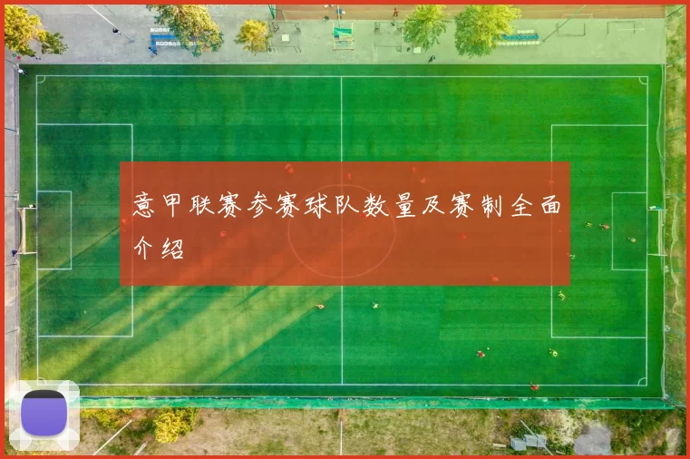 意甲联赛参赛球队数量及赛制全面介绍