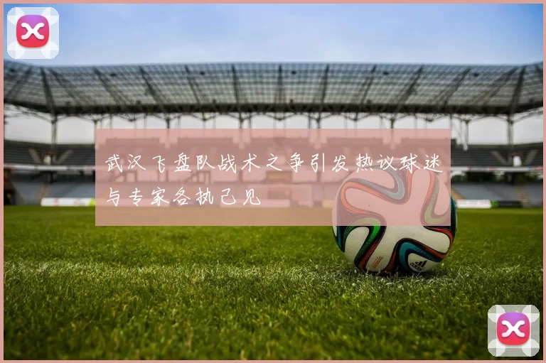 武汉飞盘队战术之争引发热议球迷与专家各执己见