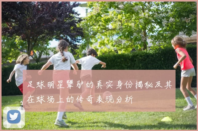 足球明星犟驴的真实身份揭秘及其在球场上的传奇表现分析