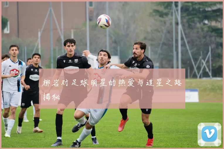 柳岩对足球明星的热爱与追星之路揭秘