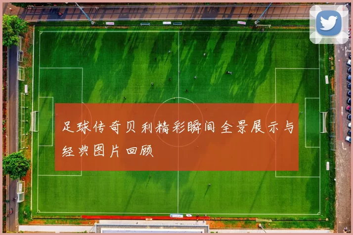 足球传奇贝利精彩瞬间全景展示与经典图片回顾