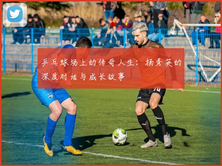 乒乓球场上的传奇人生：杨秀英的深度对话与成长故事