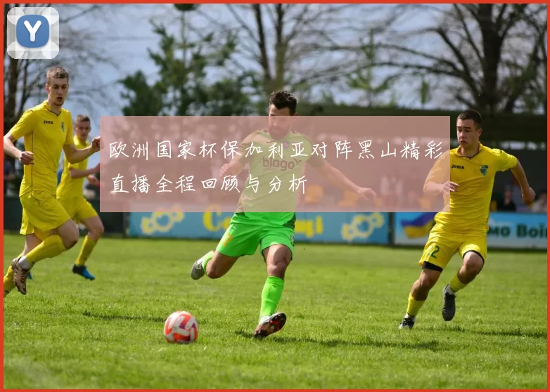 欧洲国家杯保加利亚对阵黑山精彩直播全程回顾与分析