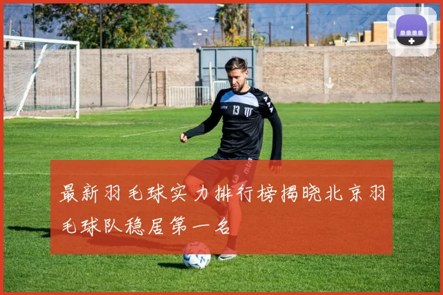 最新羽毛球实力排行榜揭晓北京羽毛球队稳居第一名