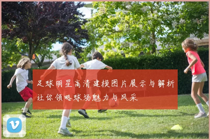 足球明星高清建模图片展示与解析让你领略球场魅力与风采