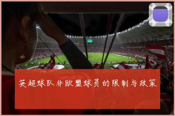 英超球队非欧盟球员的限制与政策