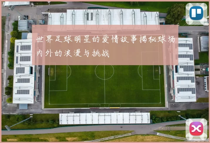 世界足球明星的爱情故事揭秘球场内外的浪漫与挑战