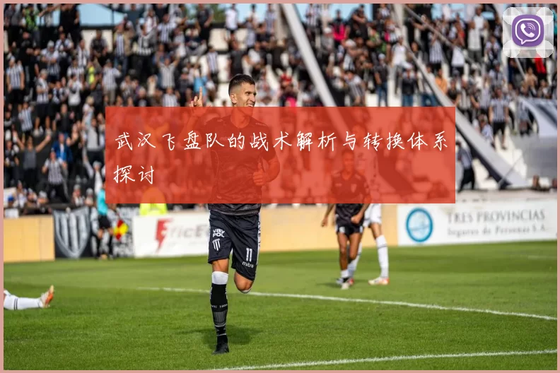 武汉飞盘队的战术解析与转换体系探讨