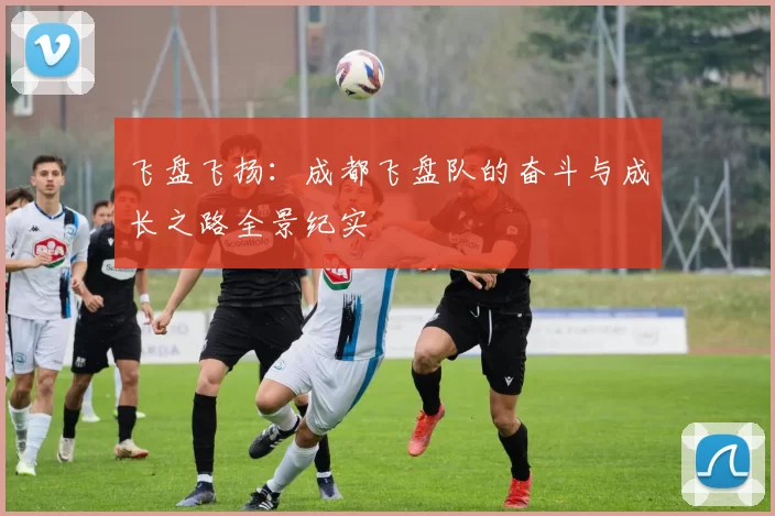 飞盘飞扬：成都飞盘队的奋斗与成长之路全景纪实