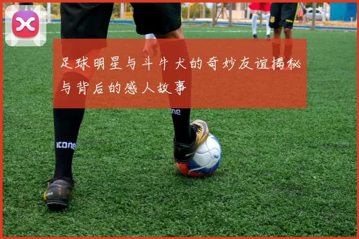 足球明星与斗牛犬的奇妙友谊揭秘与背后的感人故事