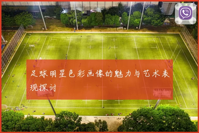 足球明星色彩画像的魅力与艺术表现探讨