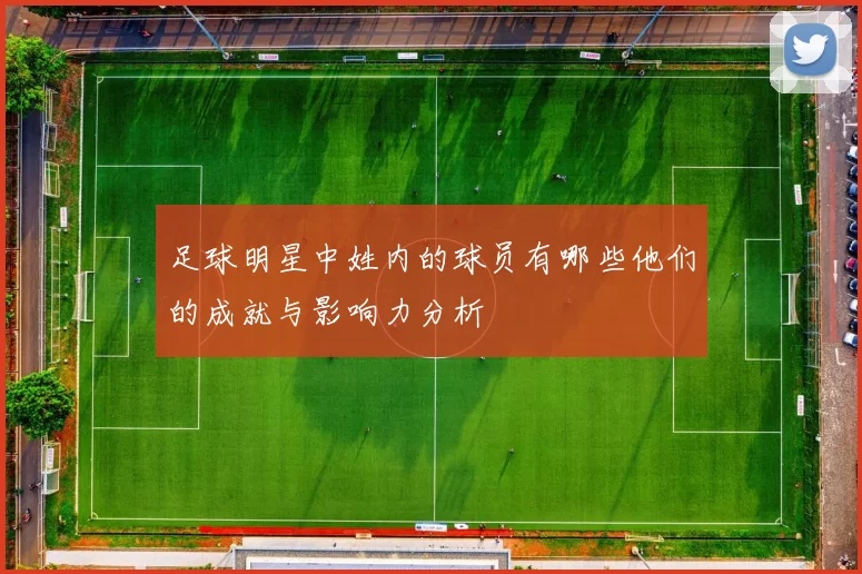 足球明星中姓内的球员有哪些他们的成就与影响力分析