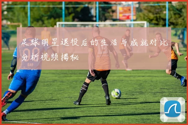 足球明星退役后的生活与成就对比分析视频揭秘