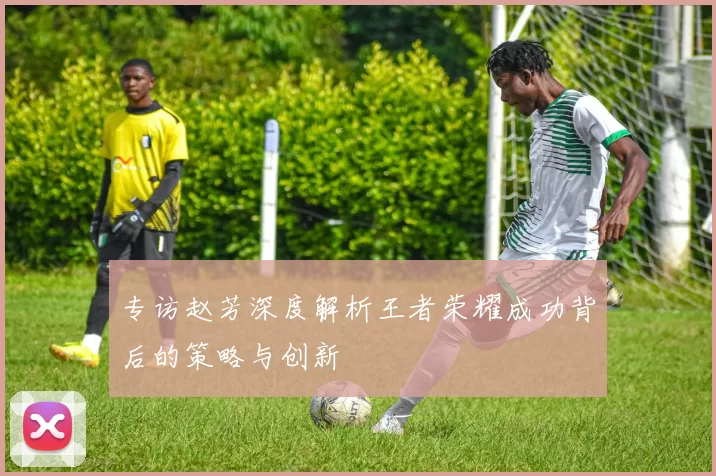 专访赵芳深度解析王者荣耀成功背后的策略与创新
