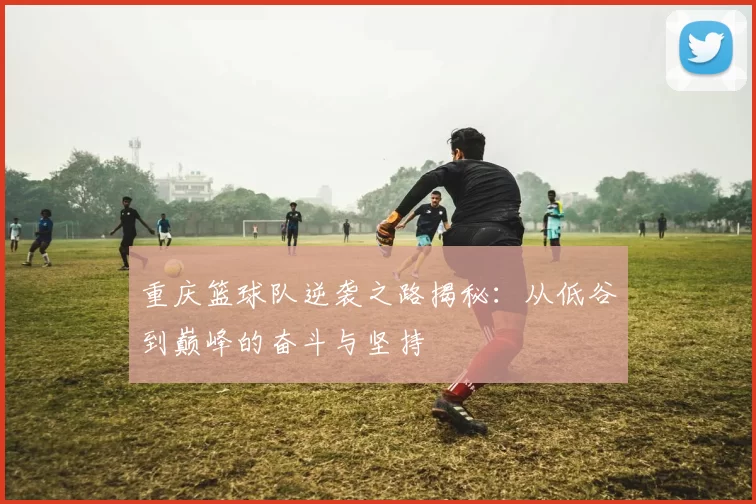 重庆篮球队逆袭之路揭秘：从低谷到巅峰的奋斗与坚持