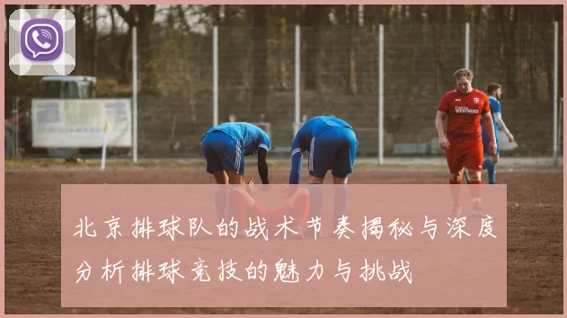 北京排球队的战术节奏揭秘与深度分析排球竞技的魅力与挑战