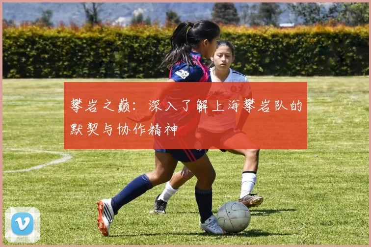 攀岩之巅：深入了解上海攀岩队的默契与协作精神