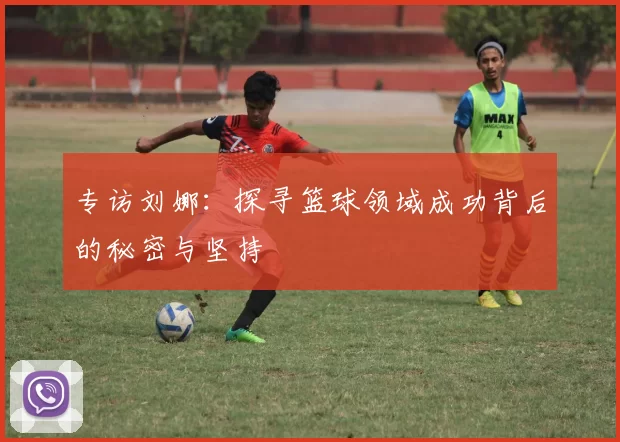 专访刘娜：探寻篮球领域成功背后的秘密与坚持